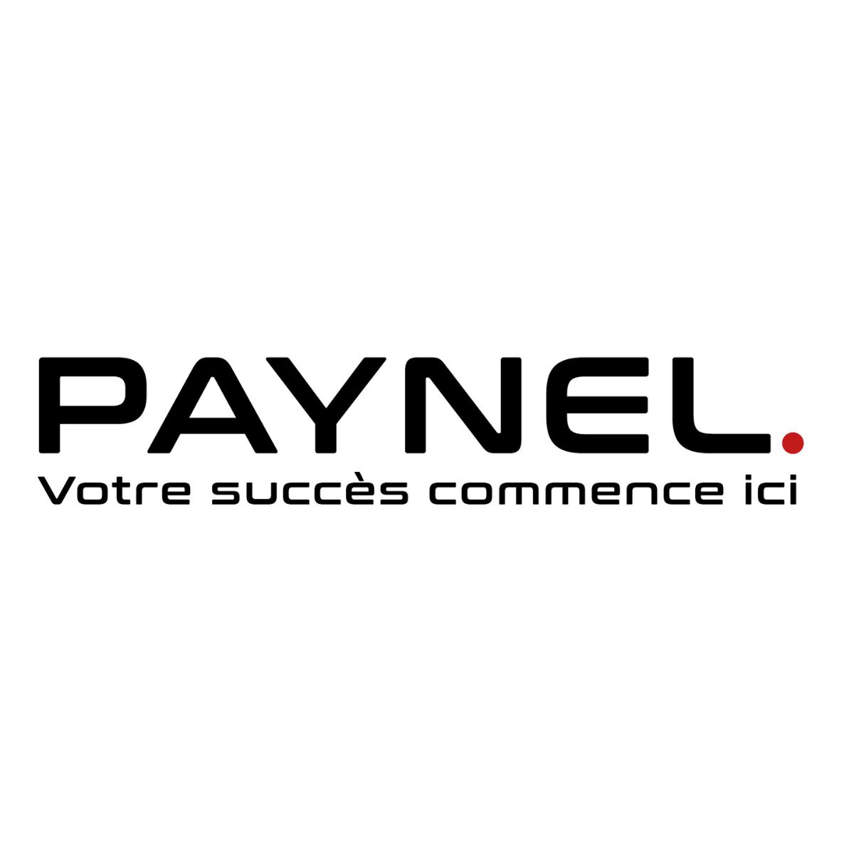 Paynel.fr : les goodies petit budget qui cartonnent pour une communication efficace